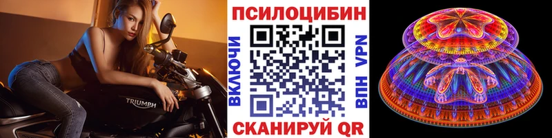 Псилоцибиновые грибы GOLDEN TEACHER Цимлянск