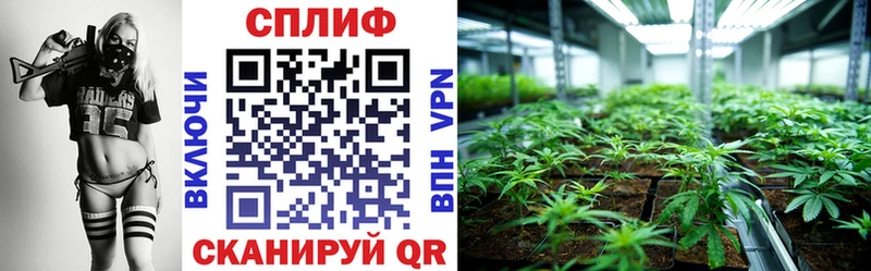 Шишки марихуана THC 21%  blacksprut как войти  Цимлянск 